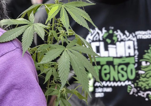 Flagrante por drogas gera mais prisão preventiva do que outros crimes