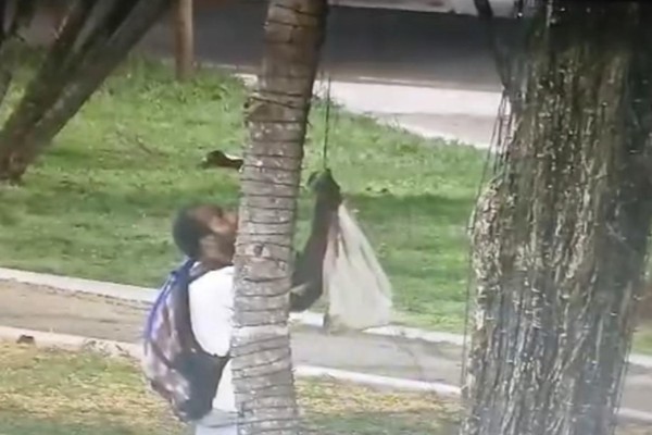 Homem é preso após ser flagrado furtando fiação da decoração natalina em Patos de Minas