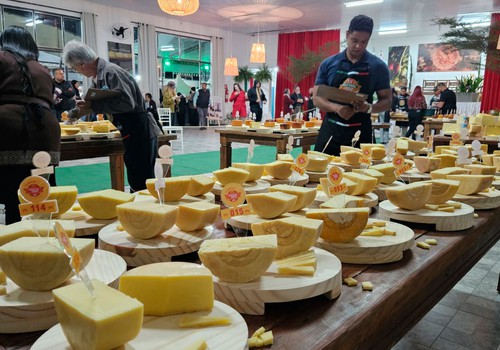 Produtores da região conquistam 20 medalhas no maior concurso de queijos artesanais do Brasil