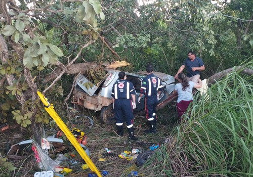 Motorista de 33 anos morre após carro sair da pista e bater em árvore na BR-365