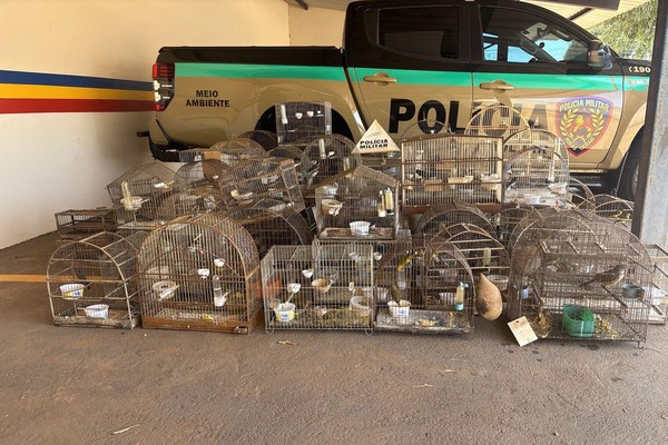 Polícia Militar de Meio Ambiente apreende 86 pássaros na região; multas ultrapassam R$400 mil