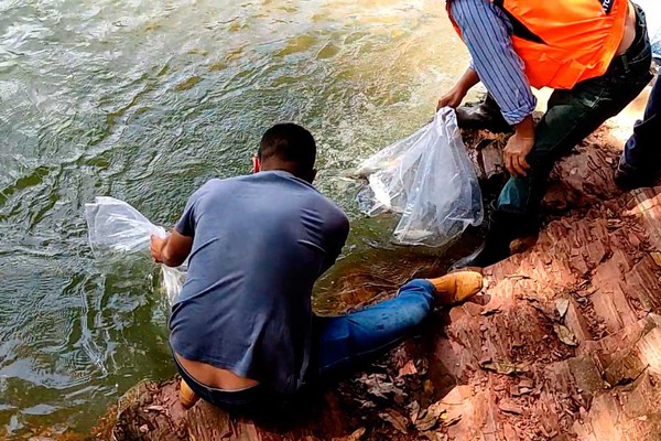 Moradores denunciam captura de peixes poucas horas depois de soltura em córrego de Areado