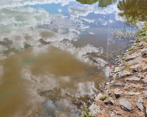 Lagoa Grande amanhece coberta por mancha semelhante a óleo e preocupa frequentadores
