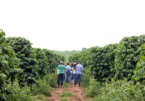 Empreendedores criam associação para fortalecer a Rota do Café do Cerrado Mineiro e impulsionar o turismo
