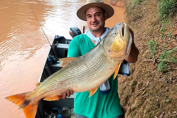 História de pescador? Dourado gigante pula dentro de barco de pescadores no Rio Paranaíba