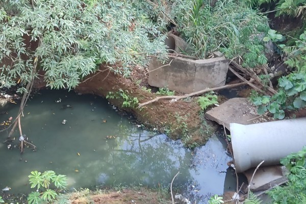 Moradores flagram despejo de esgoto em lagoas do Parque Municipal do Mocambo