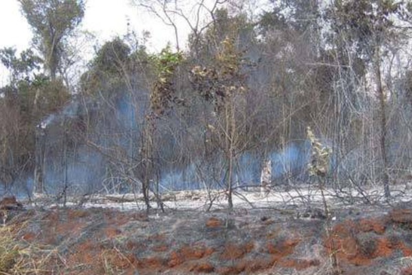 Crime ambiental: Mata do Catingueiro arde em chamas durante fim de semana