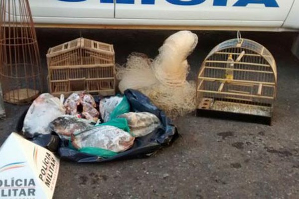 Homem é preso com pássaros, pescado e armadilhas em São Gotardo