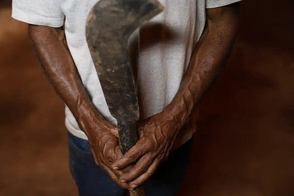 Fronteira Cerrado: desmatamento gera conflitos por terra e grilagem