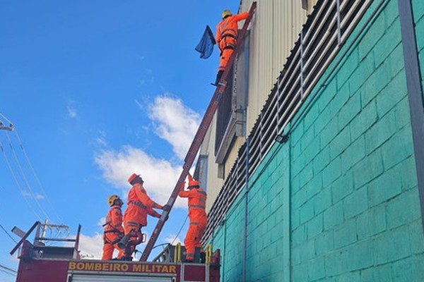 Gato fica preso em cima de climatizador de supermercado e mobiliza Corpo de Bombeiros, em Patos de Minas