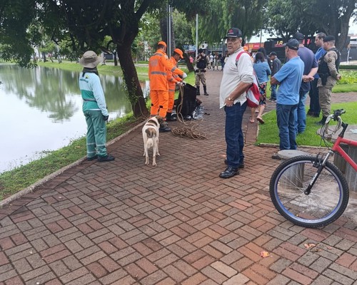 Corpo de homem é encontrado boiando nas águas da Lagoa Grande de Patos de Minas