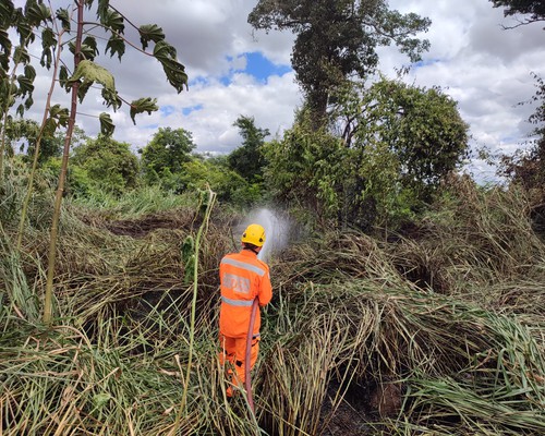 Incêndio queima cerca de 1000 m² no Parque da Mata do Catingueiro