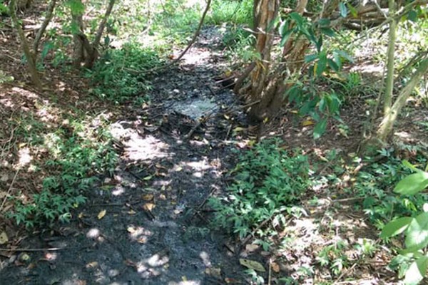 Órgãos de Meio Ambiente denunciam Copasa por despejo de esgoto também na Zona Rural
