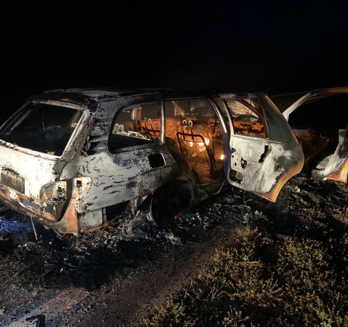 Veículo pega fogo e é abandonado após atropelar e matar anta na LMG 628, em Unaí