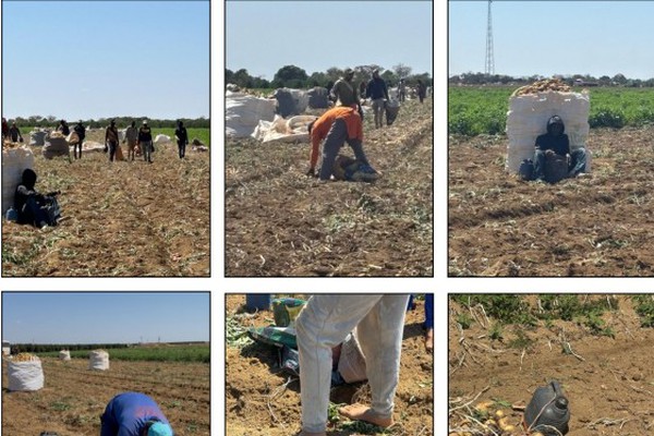 Força-tarefa resgata trabalhadores africanos em condições análogas às de escravo no Triângulo Mineiro