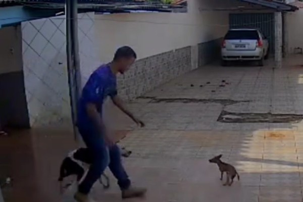 Indivíduo invade casa, pinscher late ferozmente e ele foge ao ver as câmeras; veja