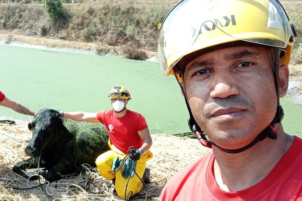 Boi cai em Estação de Tratamento de Esgoto em Patrocínio e dá trabalho ao Corpo de Bombeiros