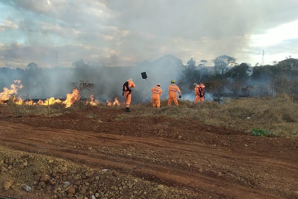 Quase 40 hectares de área ambiental são destruídos pelas chamas em Patos de Minas