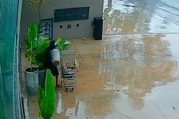 Vídeo mostra homem usando carrinho de supermercado para furtar vaso de planta