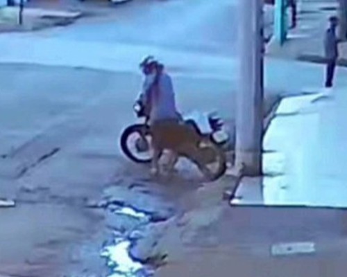 Homem é reconhecido em câmera de segurança e acaba preso com moto furtada em Patos de Minas; ele disse que pegou emprestada
