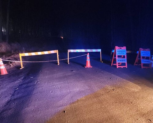 Rodovia de acesso a Carmo do Paranaíba é interditada após incêndios provocarem queda de eucaliptos