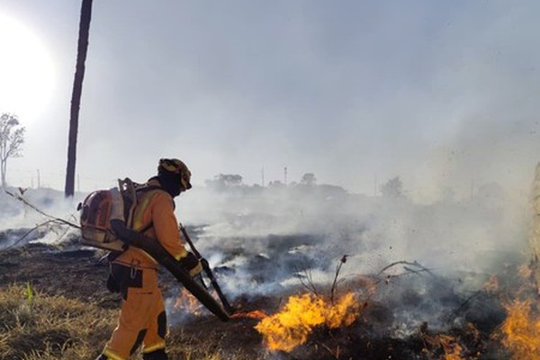 Incêndio de grandes proporções destrói 540 hectares de vegetação na região do Pântano