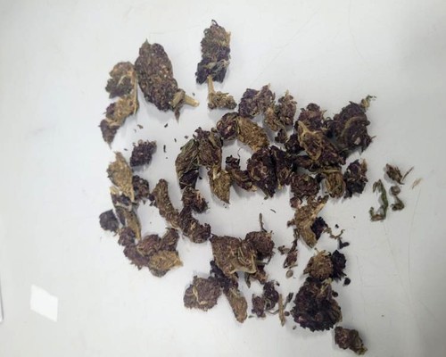 Operação em bar e outros imóveis no Alto da Colina prende 4 e apreende drogas