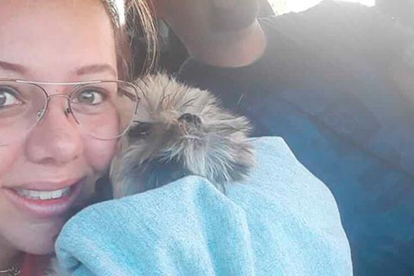 Após dona denunciar, mulher resolve devolver cadelinha shitzu em Patos de Minas