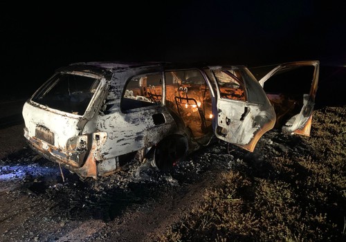 Veículo pega fogo e é abandonado após atropelar e matar anta na LMG 628, em Unaí