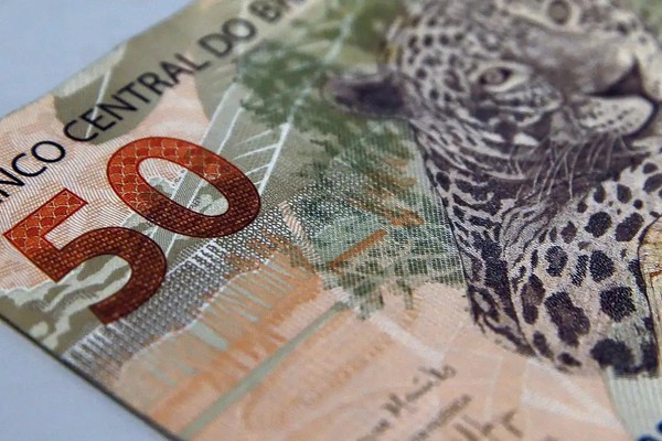 Fundações sem fins lucrativos pagam salários maiores que empresas