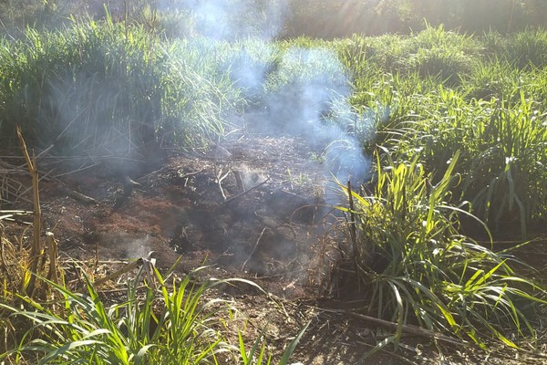 Mesmo com chuva, cratera em terreno solta fumaça em Patos de Minas e intriga moradores