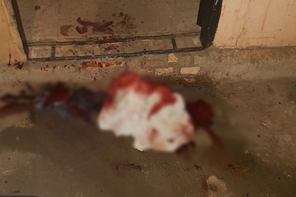Homem é assassinado dentro de casa com uma facada no peito no bairro Cristo Redentor  