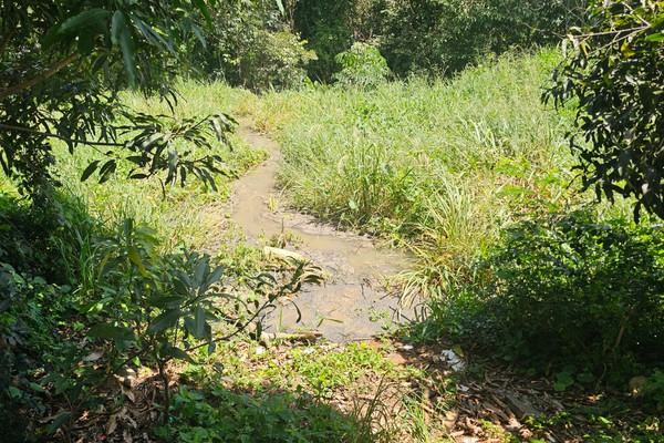 Esgoto corre a céu aberto causando poluição no bairro Copacabana até desaguar no Rio Paranaíba