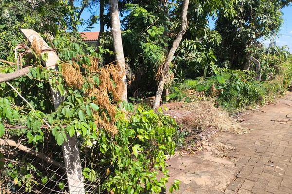 Com alambrado destruído, Parque do Mocambo tem acesso livre para a criminalidade