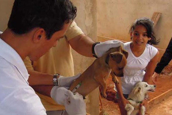 Campanha de vacinação antirrábica em cães e gatos terá três etapas em Patos de Minas