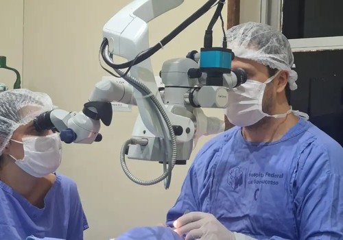 Brasil tem quase 38 mil pessoas à espera de transplante de córnea