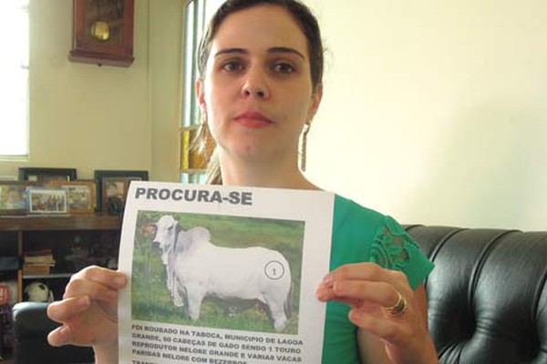 Produtores oferecem recompensa para localizar boiada furtada de fazenda em Lagoa Grande