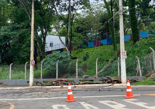 Temporal derruba árvore em cima de fiação e deixa cenário de destruição em frente ao Mocambo