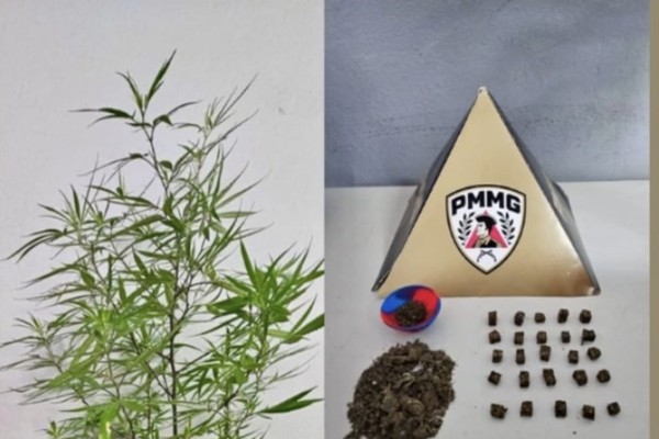 Após denúncia, homem com várias passagens é preso com drogas e pé de maconha no Centro