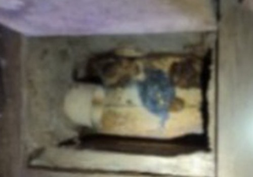 PM encontra droga em caixa de esgoto e prende homem por tráfico de drogas em Patos de Minas