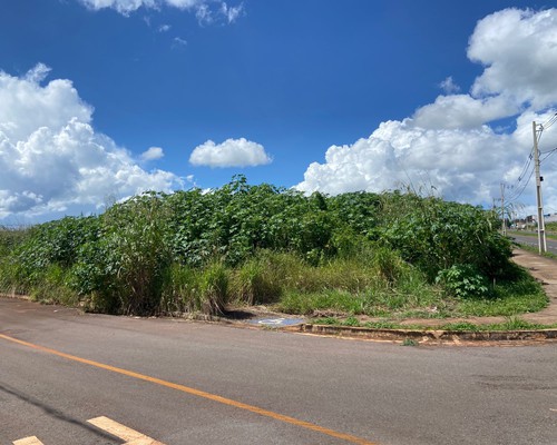 Morador denuncia mato alto e aparecimento de animais peçonhentos em loteamento de Patos de Minas