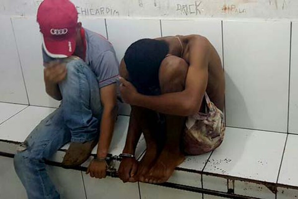 Polícia Militar encontra pé de maconha em casa no Planalto e prende autores de assalto na JK