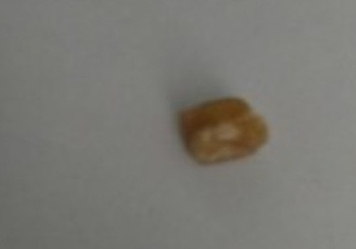 Homem é encontrado em hotel fumando crack após furto de celular no interior de carro