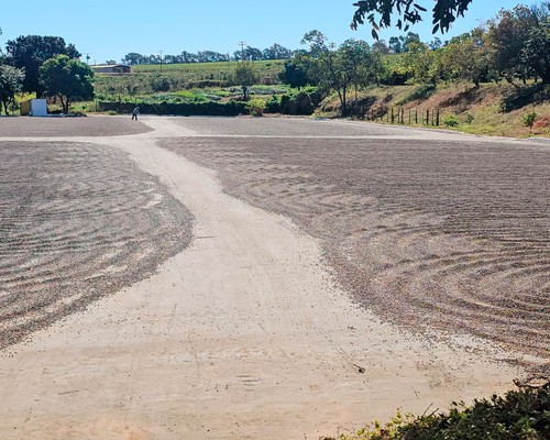 Café do Cerrado conquista o mercado internacional e exportações já chegam a 50 países
