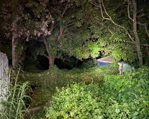 Corpo em avançado estado de decomposição é encontrado em terreno no bairro Nossa Senhora das Graças