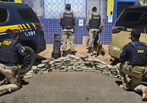 PRF e PM apreendem carregamento de cocaína e crack escondido em pneus de caminhão na BR-365, em Patos de Minas