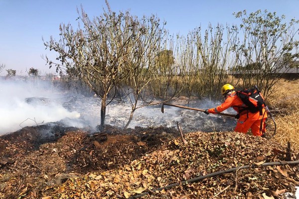 Incêndio destrói vegetação e tira o sossego dos moradores do bairro Ipanema
