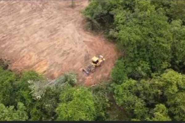 Imagens de drone mostram flagrante de grande desmatamento em Patos de Minas