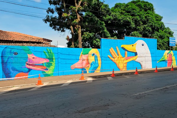 Arte transforma muros da Copasa em galeria a céu aberto e serve de exemplo em Patos de Minas