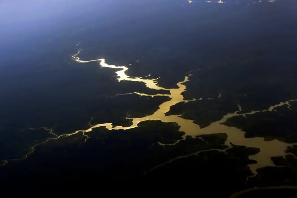 Decreto autoriza Forças Armadas na segurança da COP30